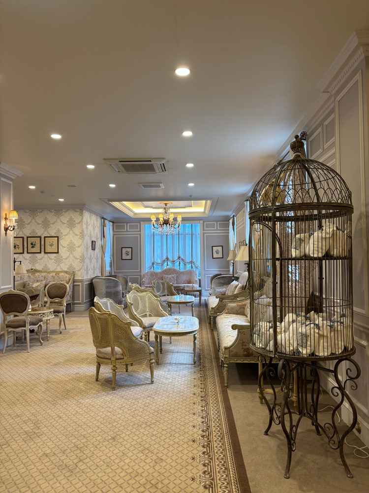待合室。白が基調となった部屋で、写真映えした。ゲストが写真を撮って楽しめると教えてもらった。