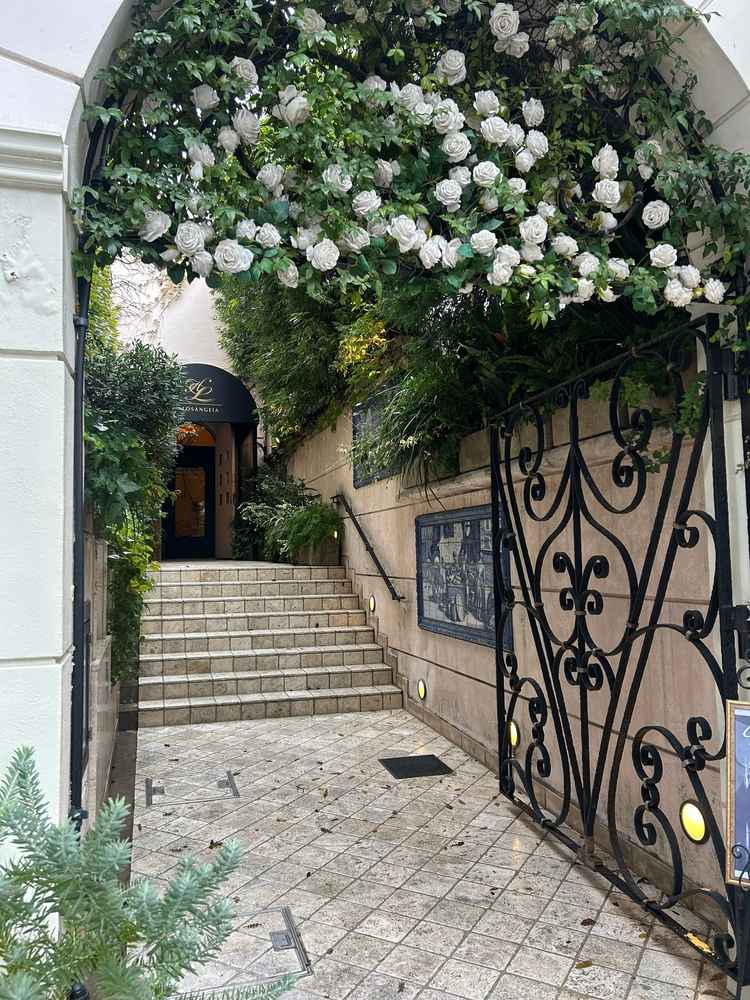 一年中緑の葉が映えるエントランス