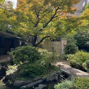 挙式会場から披露宴会場までの道。ここにも緑が多く使われていて、自然で、かつ和な雰囲気が素敵でした。