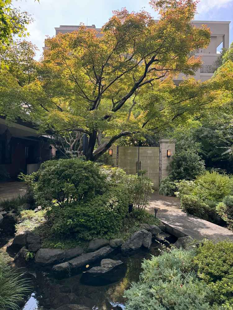 挙式会場から披露宴会場までの道。ここにも緑が多く使われていて、自然で、かつ和な雰囲気が素敵でした。