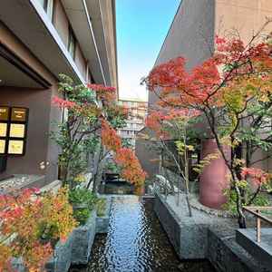 正面玄関の横にフォトスポットがありました。紅葉がとても綺麗で前撮りや集合写真でも使われるそうです