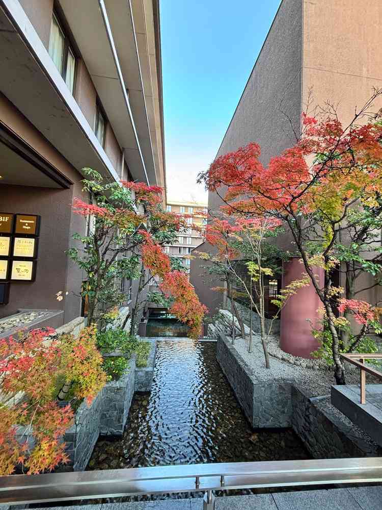 正面玄関の横にフォトスポットがありました。紅葉がとても綺麗で前撮りや集合写真でも使われるそうです