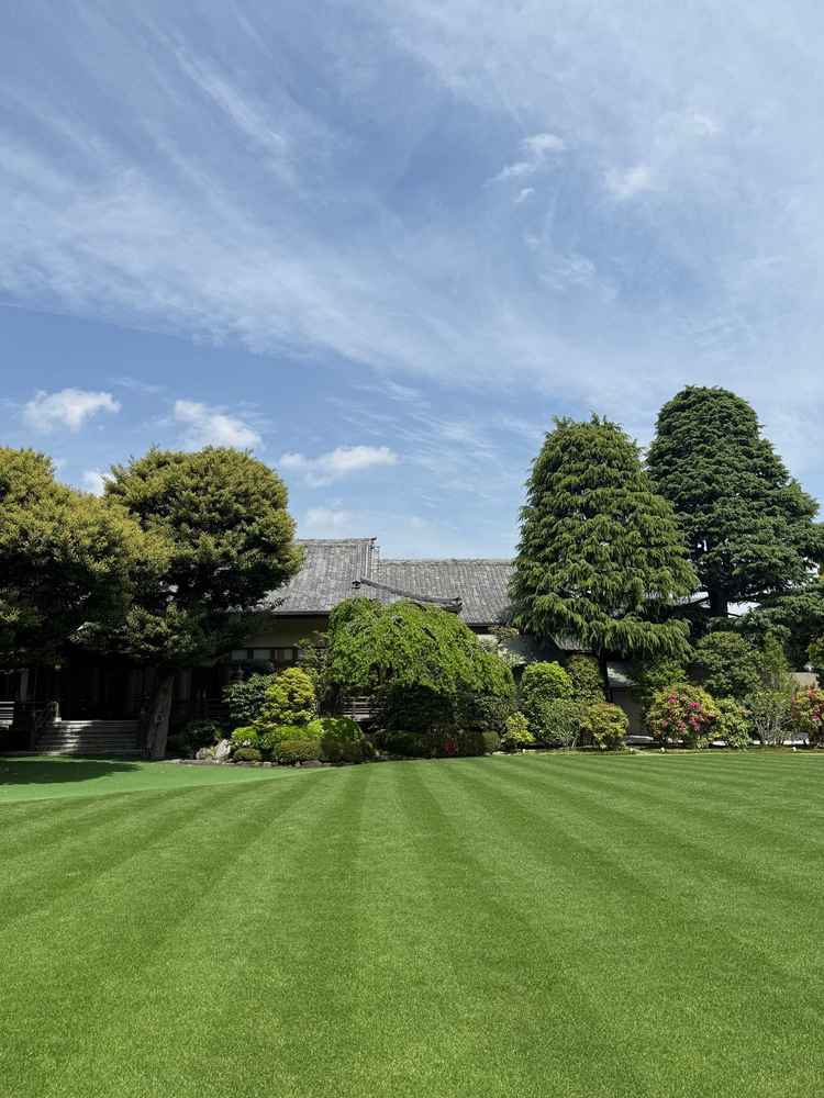 高い建物が見えない中庭