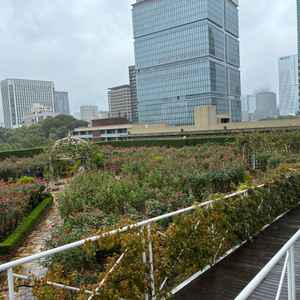 ローズガーデンの挙式会場。