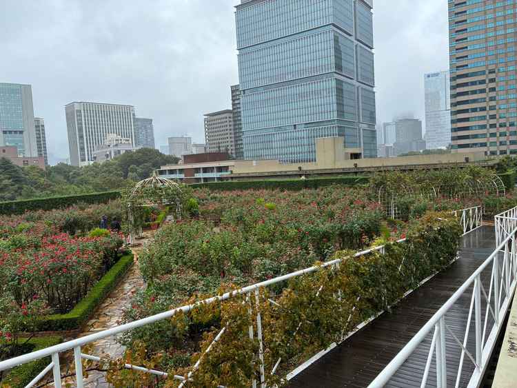 ローズガーデンの挙式会場。