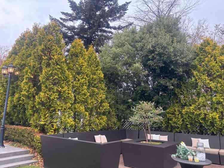 3つのガーデンそれぞれ雰囲気が異なり、自分が挙げるならどこにしようか悩みながら周り楽しかったです。