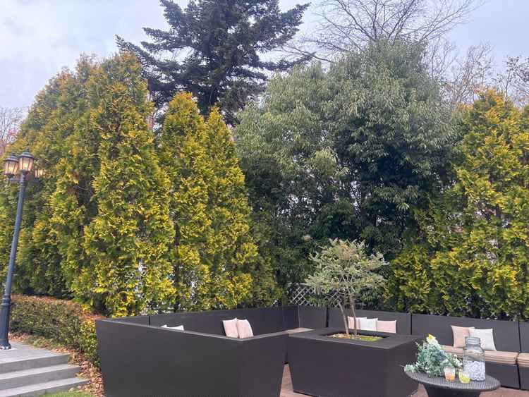 3つのガーデンそれぞれ雰囲気が異なり、自分が挙げるならどこにしようか悩みながら周り楽しかったです。