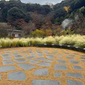 京都の景色を一望できる屋上庭園でした！