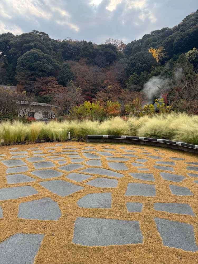 京都の景色を一望できる屋上庭園でした！