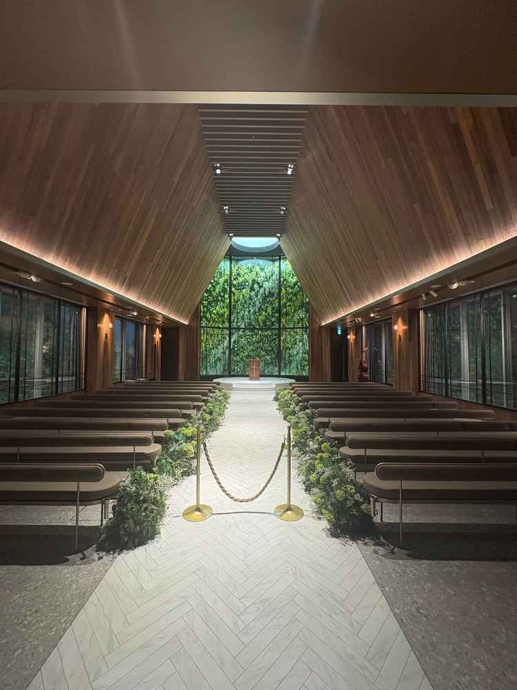 入場した時に見える景色。