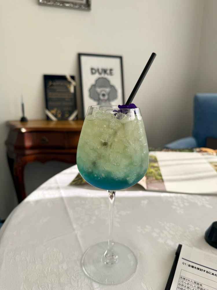 到着してすぐにノンアルコールのカクテルを出してくれた！おしゃれで美味しかった