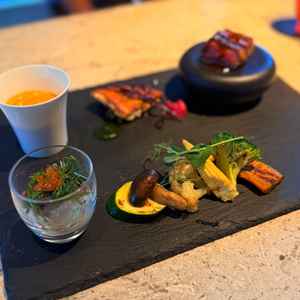 試食会の食事。前菜がとてもおいしかった。お魚とお肉はグレードをあげるとよくなりそう。