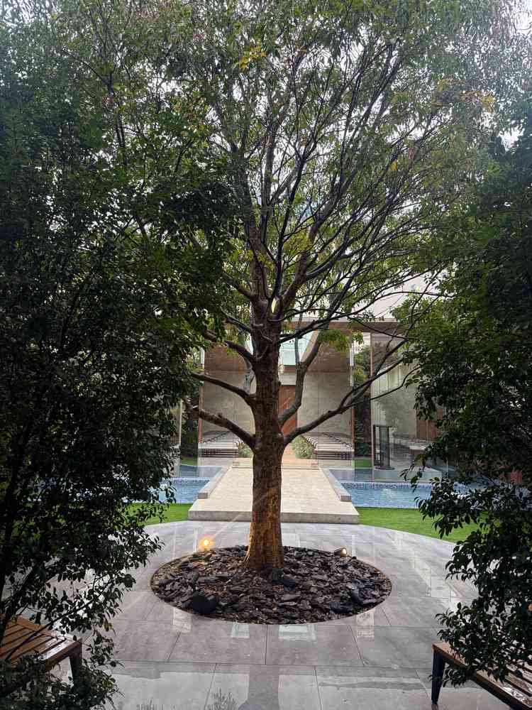 ガーデンテラス中央に大きな木が一本ありました。チャペルの背景になり雰囲気がとても良かったです。