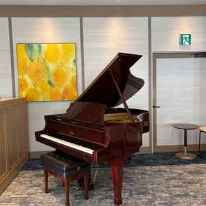 各披露宴上にあるグランドピアノです。