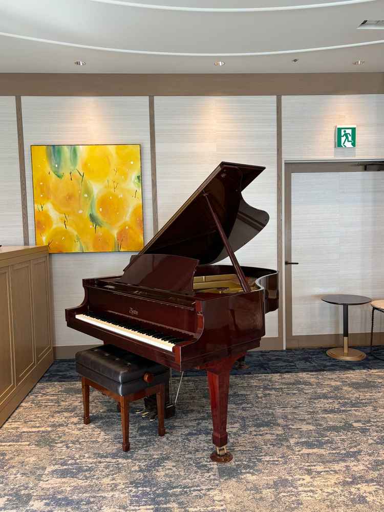 各披露宴上にあるグランドピアノです。