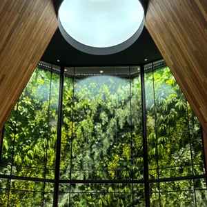 チャペルのメインスタンドの様子