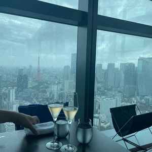 眺望。昼の場合晴天でないと、あまりよさが感じられないと思った。