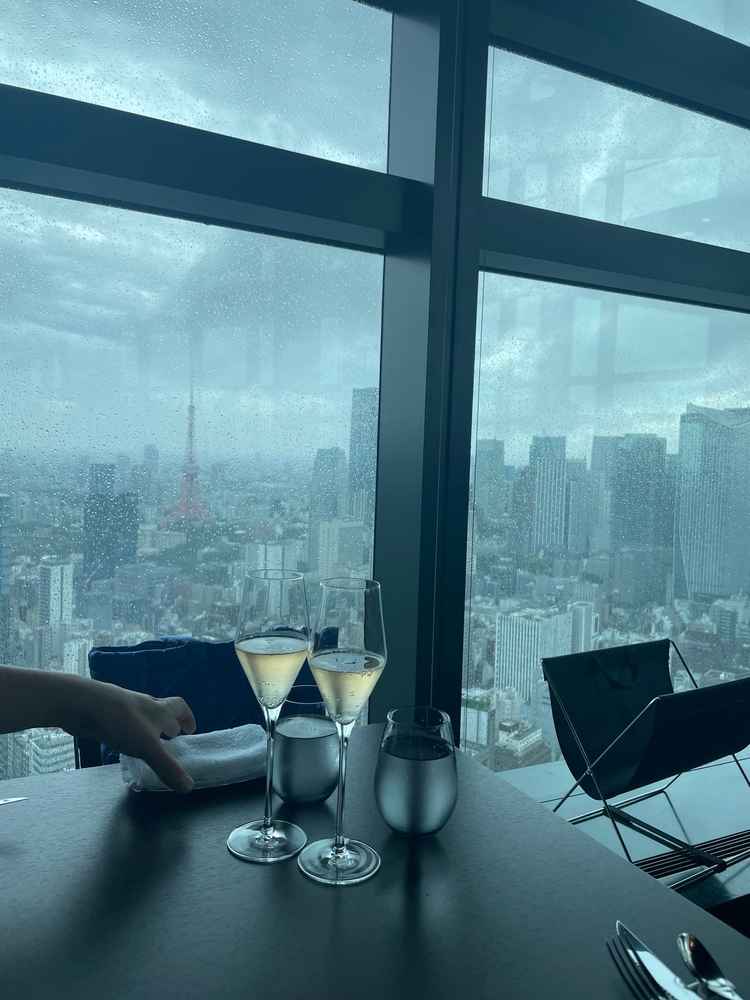 眺望。昼の場合晴天でないと、あまりよさが感じられないと思った。