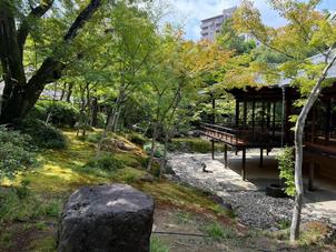 お庭から見た御幸の間です。観光地に来ているかのような雰囲気でした。