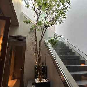 ユーザーが投稿した画像2