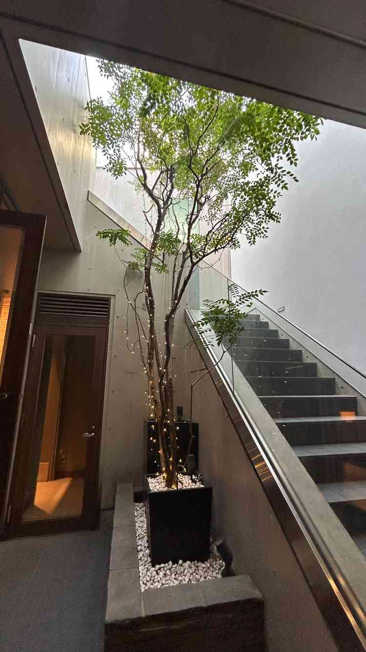 ユーザーが投稿した画像2