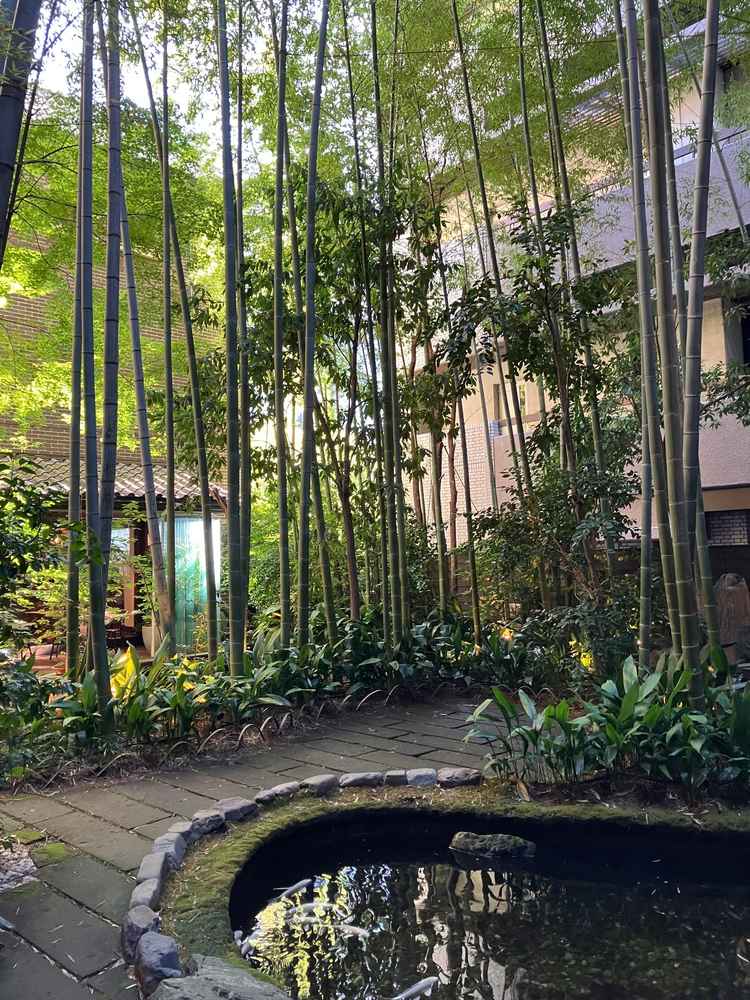 中庭。縦に長く、光が差し込んでくる角度が絶妙で美しい。すぐそばに道路があるとは思えないほど静か。