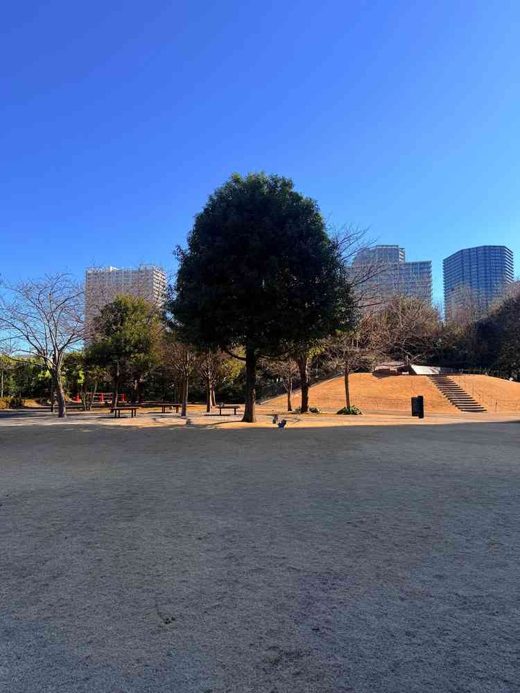 ガーデン挙式のスペース、公園という感じ