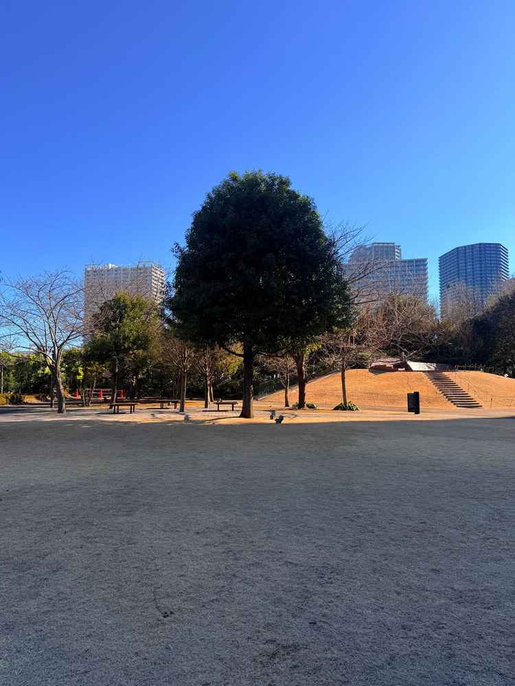 ガーデン挙式のスペース、公園という感じ