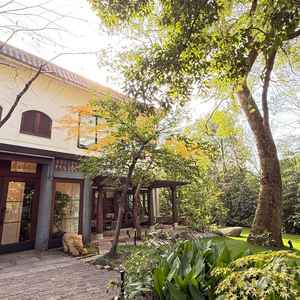 樹齢100年のシンボルツリー。本物の木が植っていて、より自然を感じられる素敵な空間になっていました。