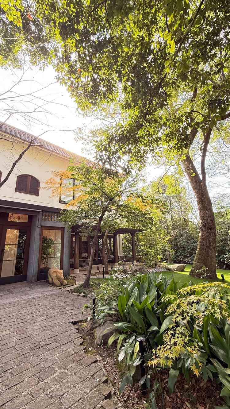 樹齢100年のシンボルツリー。本物の木が植っていて、より自然を感じられる素敵な空間になっていました。