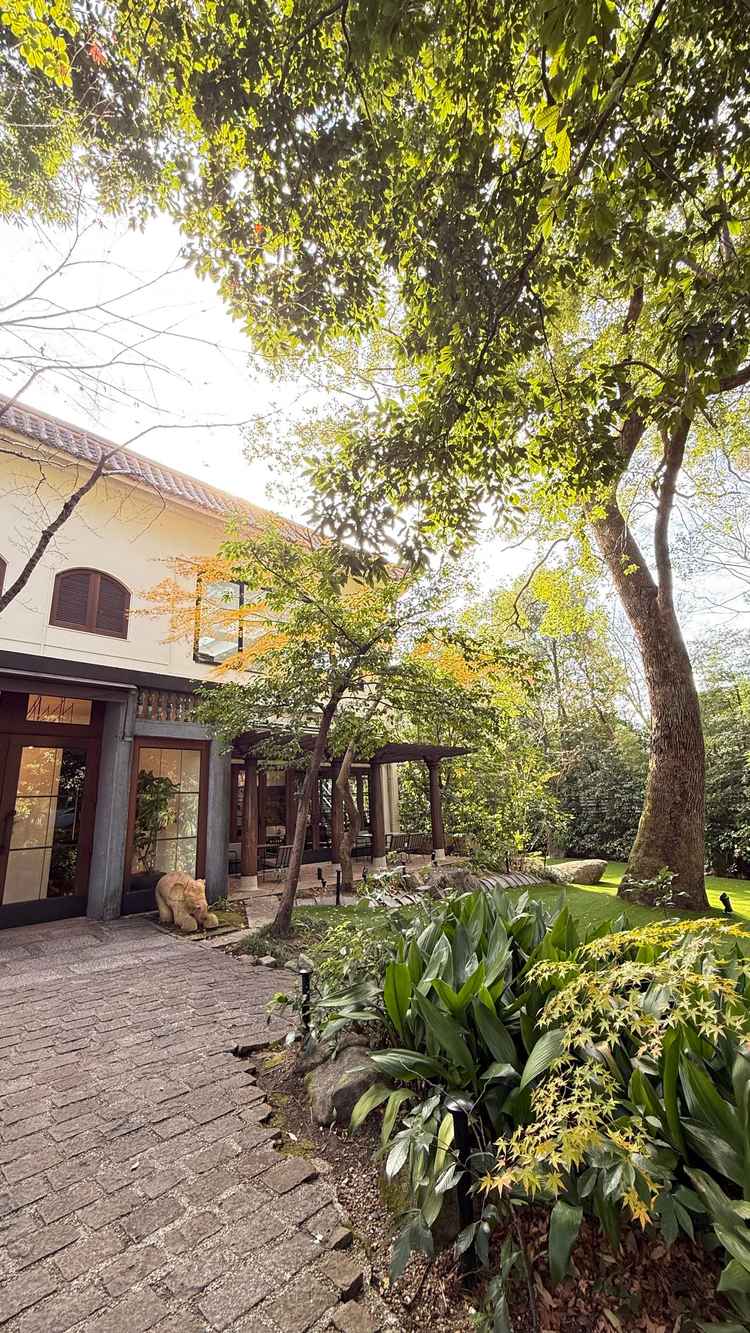 樹齢100年のシンボルツリー。本物の木が植っていて、より自然を感じられる素敵な空間になっていました。