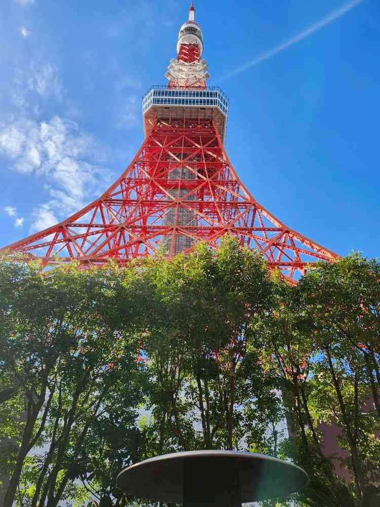 式場に到着してすぐに、入口近くの東京タワーが間近に見える所に連れてってもらいました。