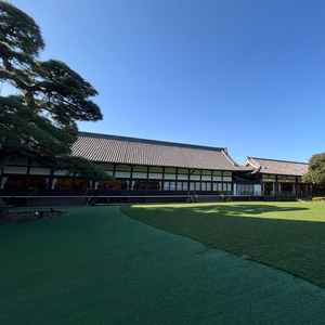 庭が綺麗で、開放的です。