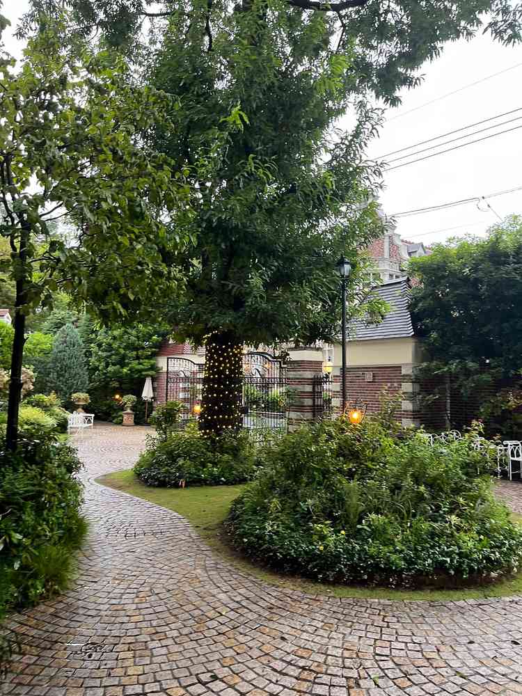 中庭もお手入れが行き届いていて、素敵です。