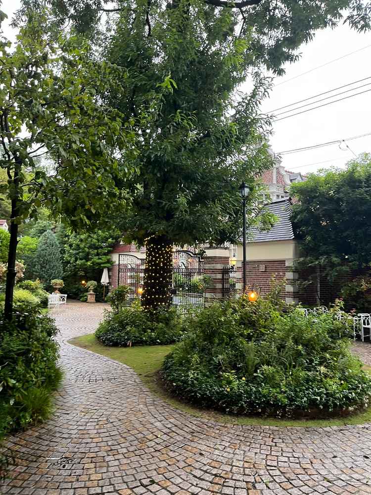 中庭もお手入れが行き届いていて、素敵です。