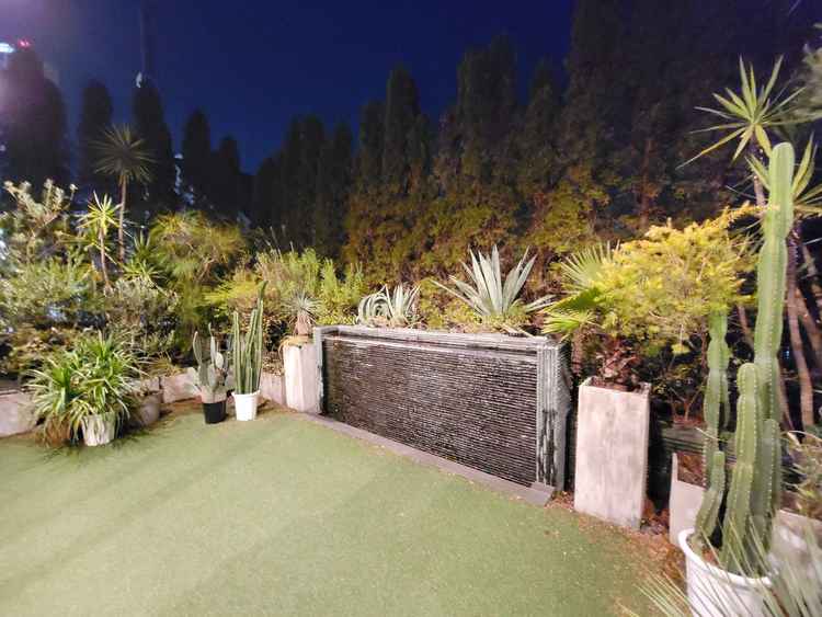 夜のテラスには個性的な植物が並ぶなど、豊かなグリーンがひろがって素敵でした。