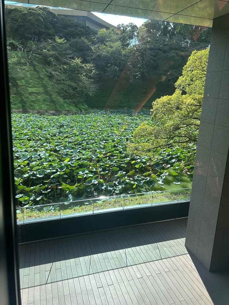 ガラス張りの景色から自然光が入り、心地良い日当たりと周囲の静けさが素敵な空間でした。