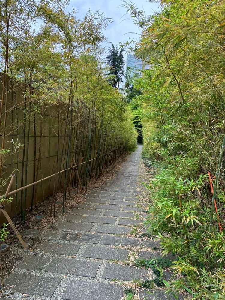 和装によく似合う竹道。