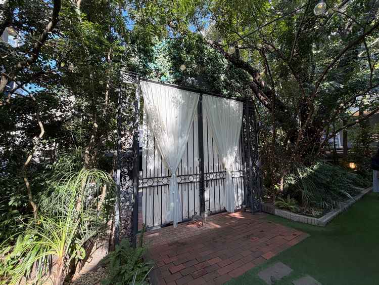 会場内から見たエントランス。木に囲まれている。