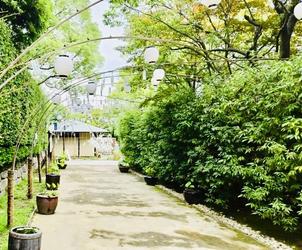 緑豊かに季節を感じる