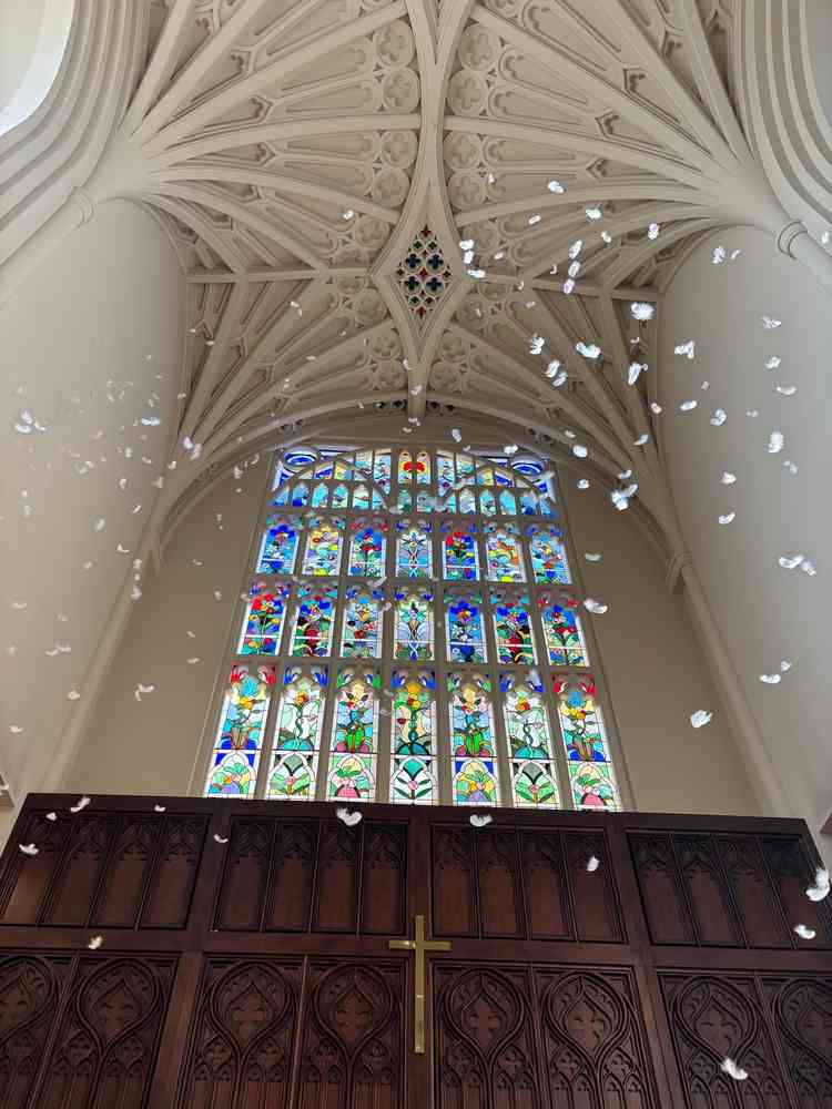 ステンドグラスとフェザーシャワー