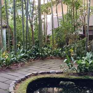 披露宴会場から続く中庭。池には鯉が泳いでいて、落ち着いた雰囲気だった。