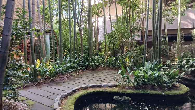 披露宴会場から続く中庭。池には鯉が泳いでいて、落ち着いた雰囲気だった。