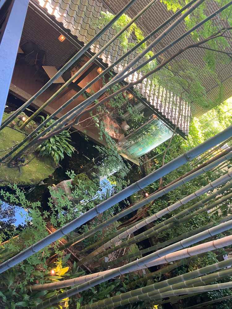 写真一枚目の披露宴会場のテラスに出て、庭を覗いた時の景色。