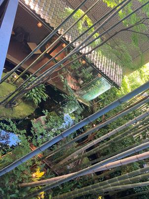 写真一枚目の披露宴会場のテラスに出て、庭を覗いた時の景色。