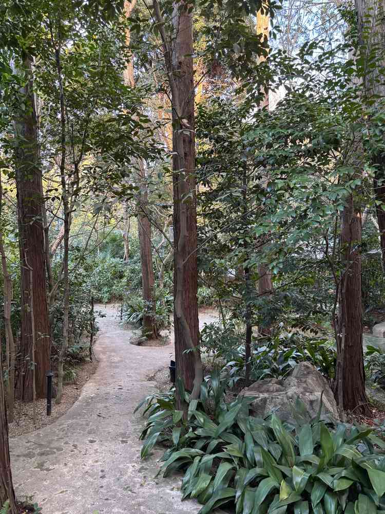 冬なのにこんなに緑が多い。ここが名古屋だということを忘れさせる。