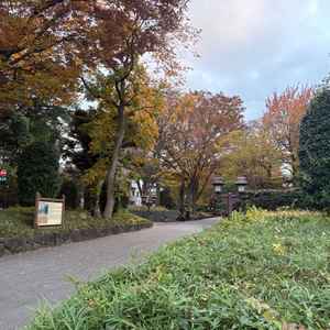 清水園すぐ横の参道。食事会場からも望めるので自然を感じられました。