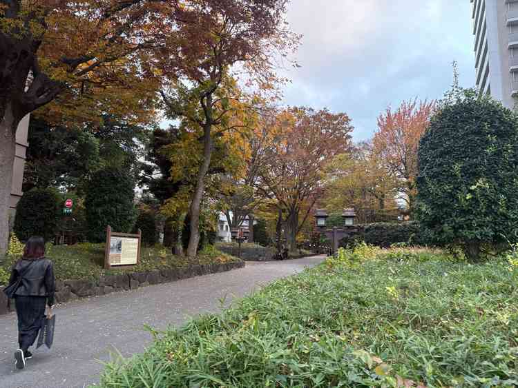 清水園すぐ横の参道。食事会場からも望めるので自然を感じられました。