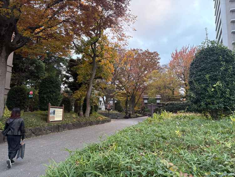 清水園すぐ横の参道。食事会場からも望めるので自然を感じられました。