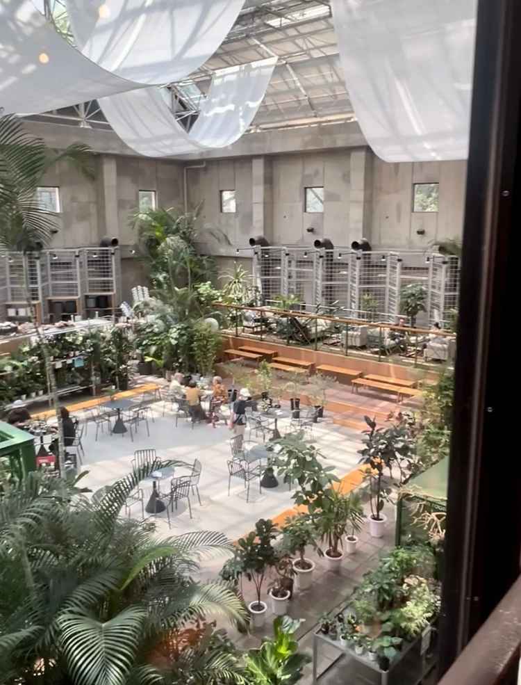 3箇所選べるうちの温室内の挙式会場